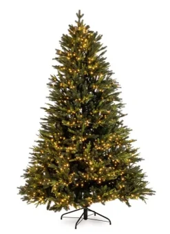 Alberi Natale Con Luci>Bizzotto ALBERO BERKSHIRE H210-5436RAMI 1900LED