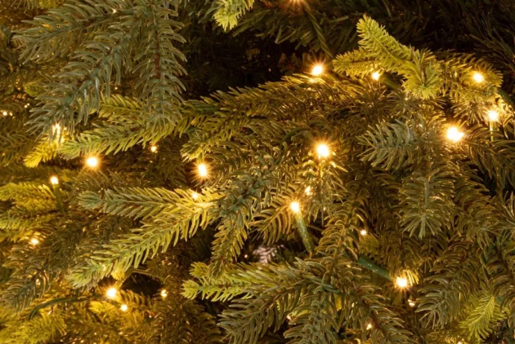 Alberi Natale Con Luci>Bizzotto ALBERO BERKSHIRE H210-5436RAMI 1900LED