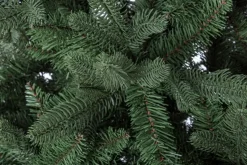 Alberi Natale Premium>Bizzotto ALBERO FREJUS H240-2949RAMI