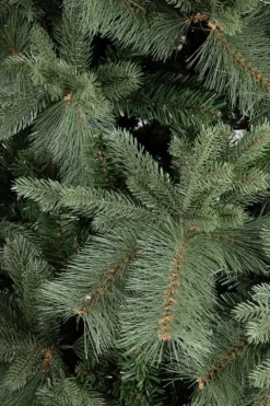Alberi Natale Premium>Bizzotto ALBERO HUBBARD H210-2359RAMI