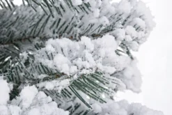 Alberi Decorativi>Bizzotto ALBERO INNSBRUCK INNEVATO H60