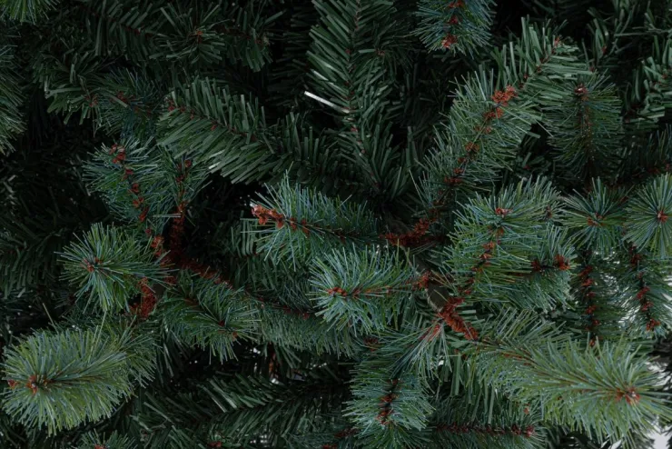 Alberi Natale Premium>Bizzotto ALBERO SERRONE GLAUCO H210-1698RAMI