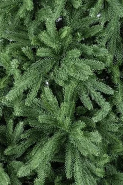 Alberi Natale Premium>Bizzotto ALBERO TIROLO H210-950RAMI