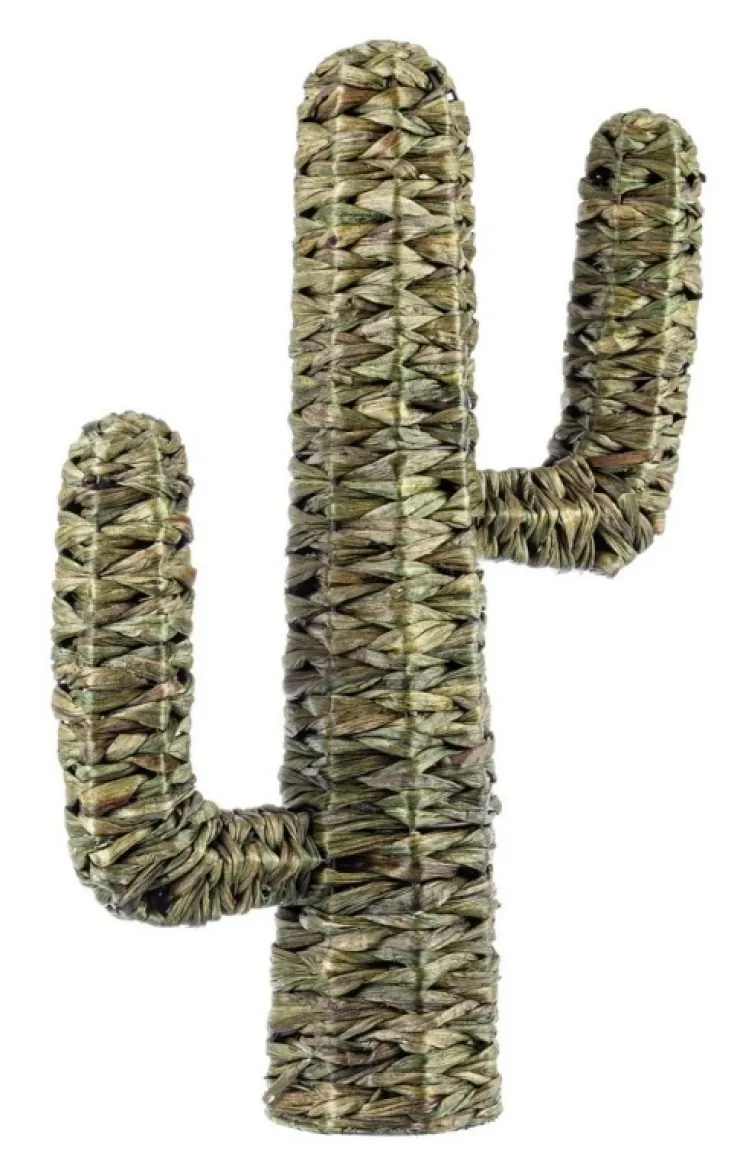 Oggettistica>Bizzotto CACTUS SAGUARO VERDE H73