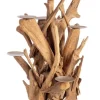 Portacandele>Bizzotto CANDELABRO 7FUOCHI IZARA NAT H70