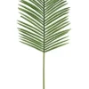 Rami E Corone>Bizzotto FOGLIA PALMA PHOENIX VERDE H150CM