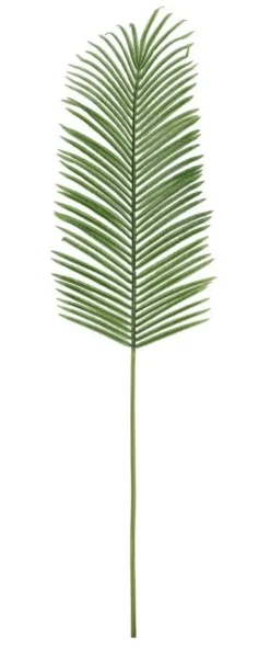Rami E Corone>Bizzotto FOGLIA PALMA PHOENIX VERDE H150CM