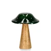 Oggettistica>Bizzotto FUNGO JASPER STAND VERDE-NAT H15