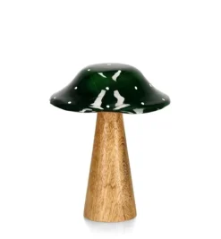 Oggettistica>Bizzotto FUNGO JASPER STAND VERDE-NAT H15