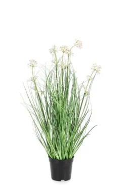 Piante Artificiali>Bizzotto PIANTA ALLIUM C-VASO H60