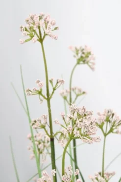 Piante Artificiali>Bizzotto PIANTA ALLIUM C-VASO H110