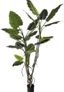 Piante Artificiali>Bizzotto PIANTA ALOCASIA C-VASO 26FOGLIE H200