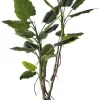 Piante Artificiali>Bizzotto PIANTA ALOCASIA C-VASO H150