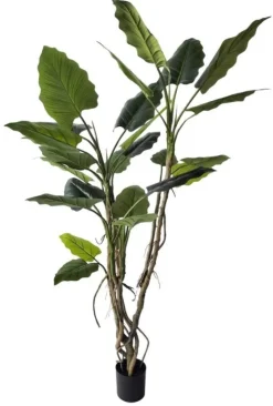Piante Artificiali>Bizzotto PIANTA ALOCASIA C-VASO H150