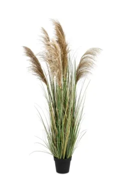Piante Artificiali>Bizzotto PIANTA AUSTORDERIA PAMPAS C-VASO H170