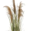 Piante Artificiali>Bizzotto PIANTA AUSTORDERIA PAMPAS C-VASO H145