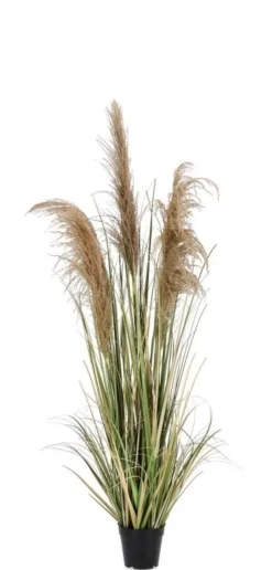 Piante Artificiali>Bizzotto PIANTA AUSTORDERIA PAMPAS C-VASO H145