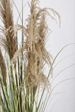 Piante Artificiali>Bizzotto PIANTA AUSTORDERIA PAMPAS C-VASO H145