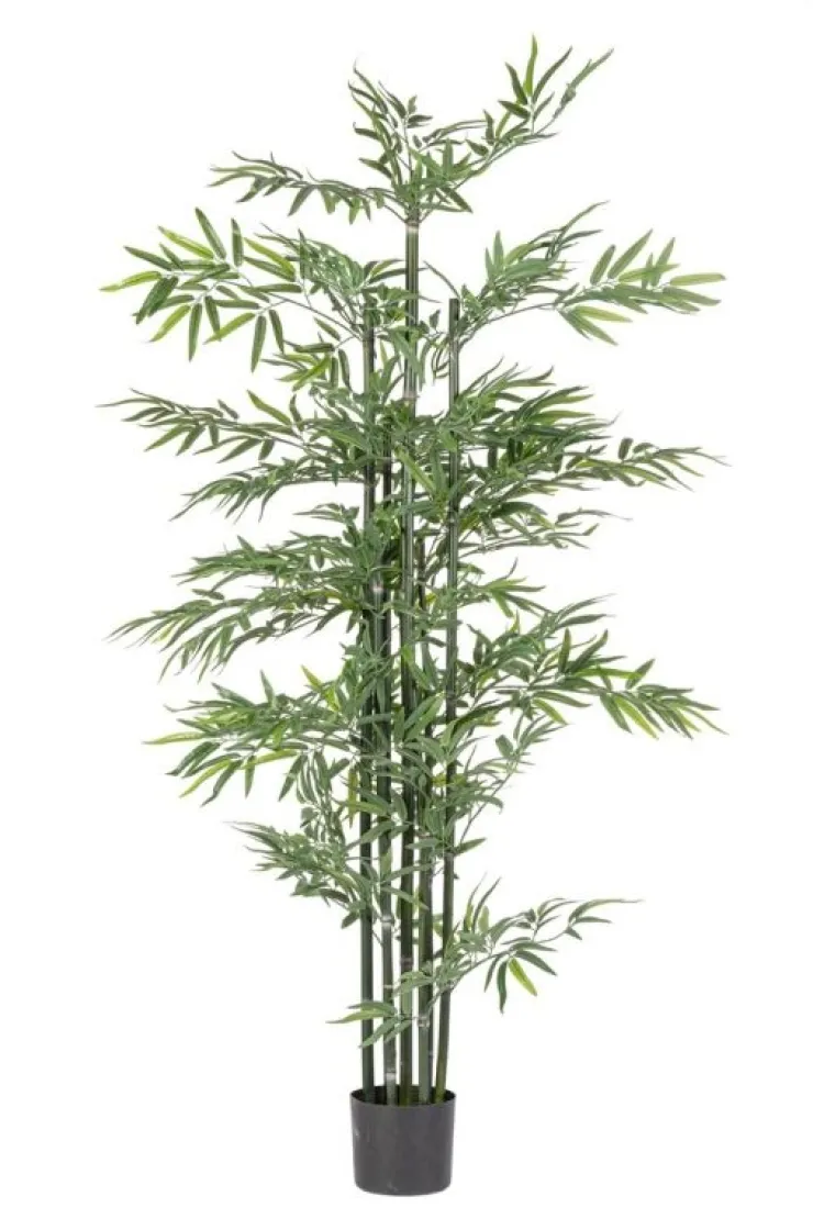 Piante Artificiali>Bizzotto PIANTA BAMBOO C-VASO H190