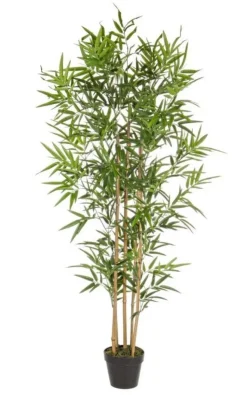 Piante Artificiali>Bizzotto PIANTA BAMBOO C-VASO H155CM