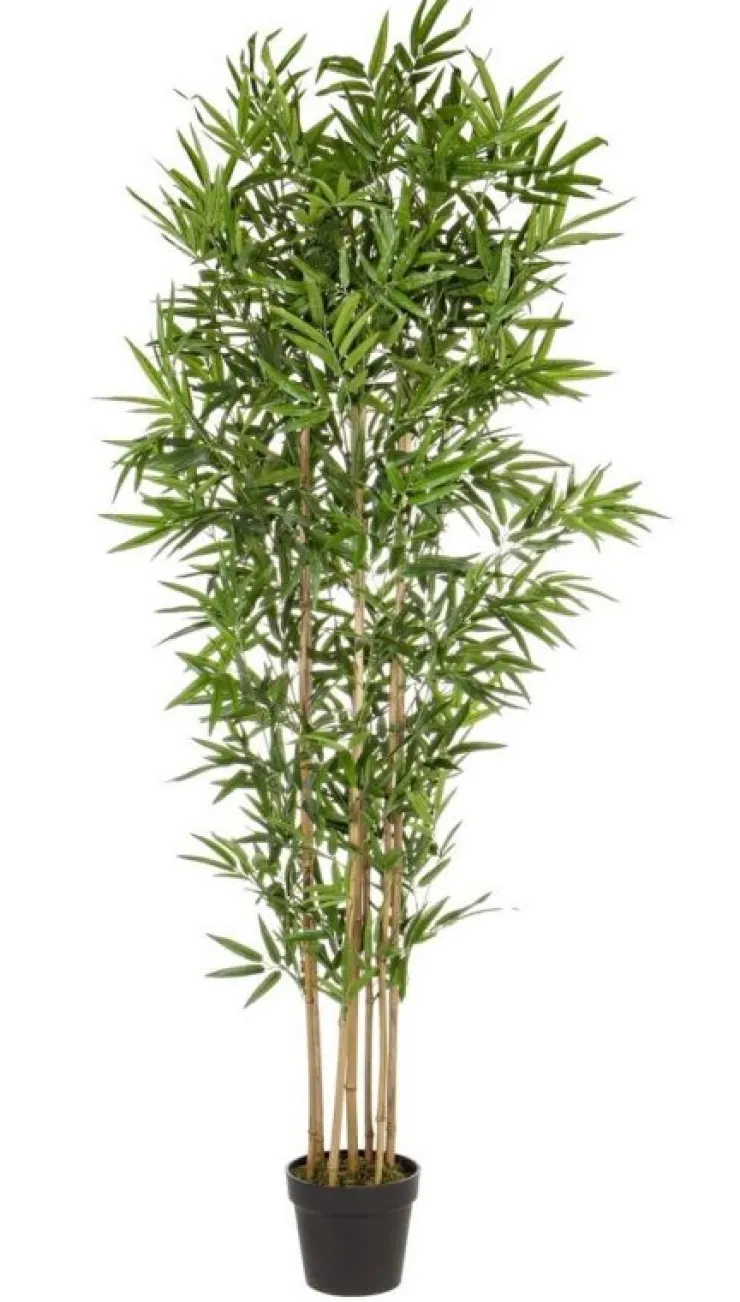 Piante Artificiali>Bizzotto PIANTA BAMBOO C-VASO H185CM