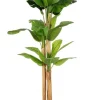 Piante Artificiali>Bizzotto PIANTA BANANO C-VASO 24FOGLIE H280