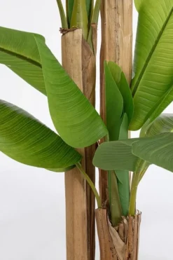 Piante Artificiali>Bizzotto PIANTA BANANO C-VASO 24FOGLIE H280