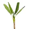 Piante Artificiali>Bizzotto PIANTA BANANO C-VASO 7FOGLIE H113