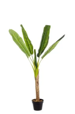 Piante Artificiali>Bizzotto PIANTA BANANO C-VASO 7FOGLIE H113