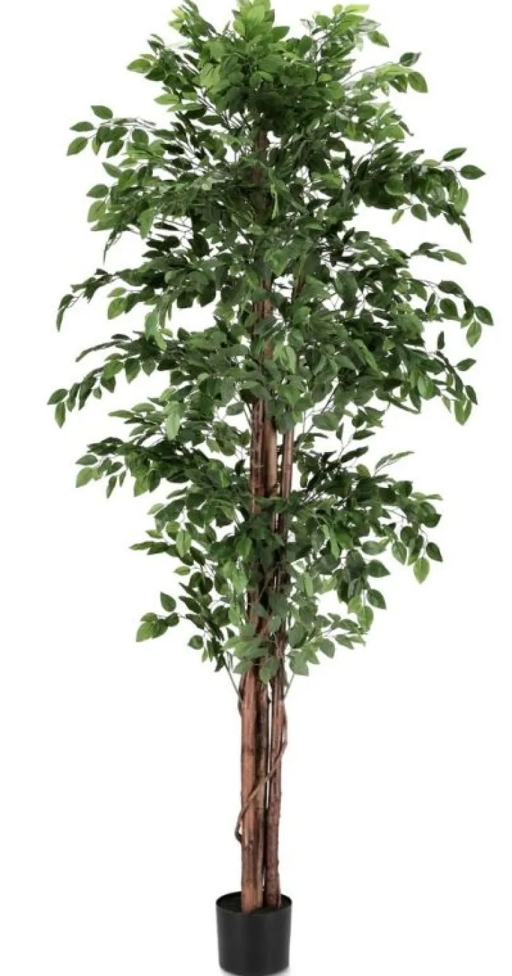 Piante Artificiali>Bizzotto PIANTA BANYAN C-VASO 2480FOGLIE H210