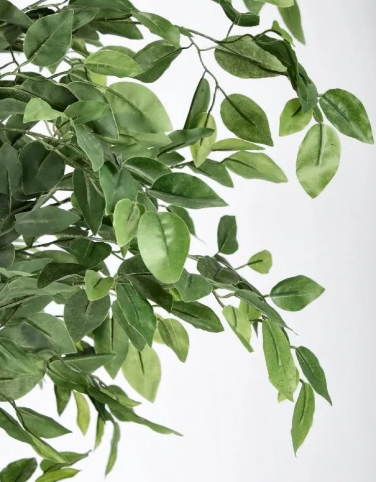 Piante Artificiali>Bizzotto PIANTA BANYAN C-VASO 2480FOGLIE H210