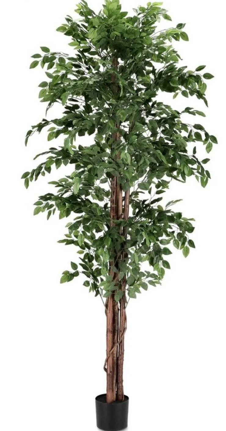 Piante Artificiali>Bizzotto PIANTA BANYAN C-VASO 2480FOGLIE H210