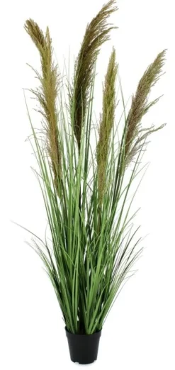 Piante Artificiali>Bizzotto PIANTA CARINE PAMPAS VERD MARR C-VA H145