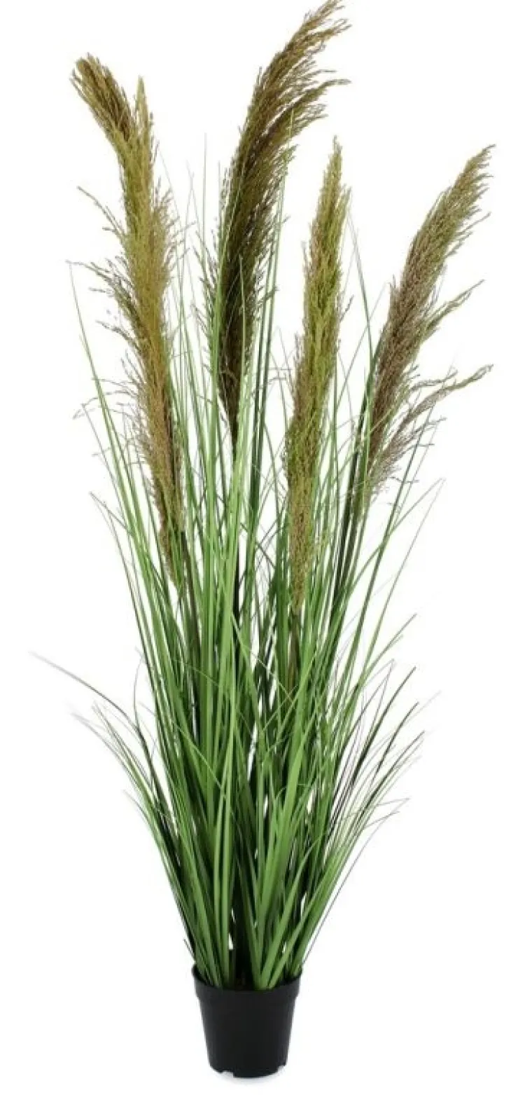 Piante Artificiali>Bizzotto PIANTA CARINE PAMPAS VERD MARR C-VA H145