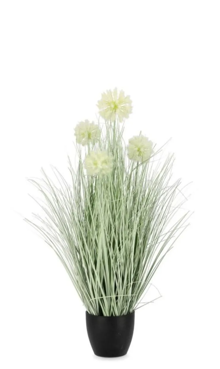 Piante Artificiali>Bizzotto PIANTA CEBOLLA BIANCO C-VASO X4F H75