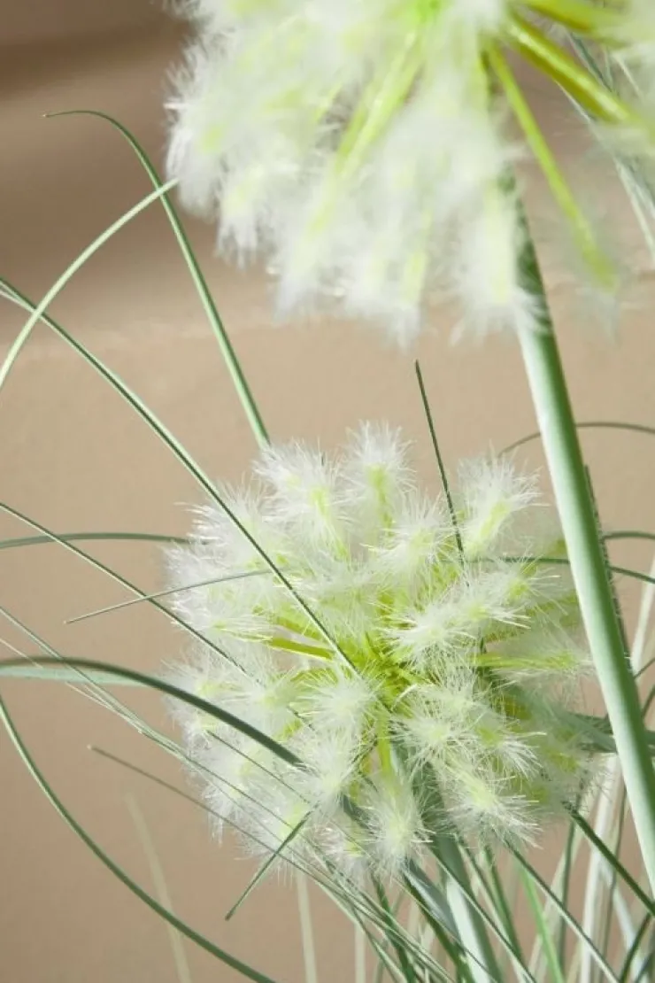 Piante Artificiali>Bizzotto PIANTA CEBOLLA BIANCO C-VASO X4F H75