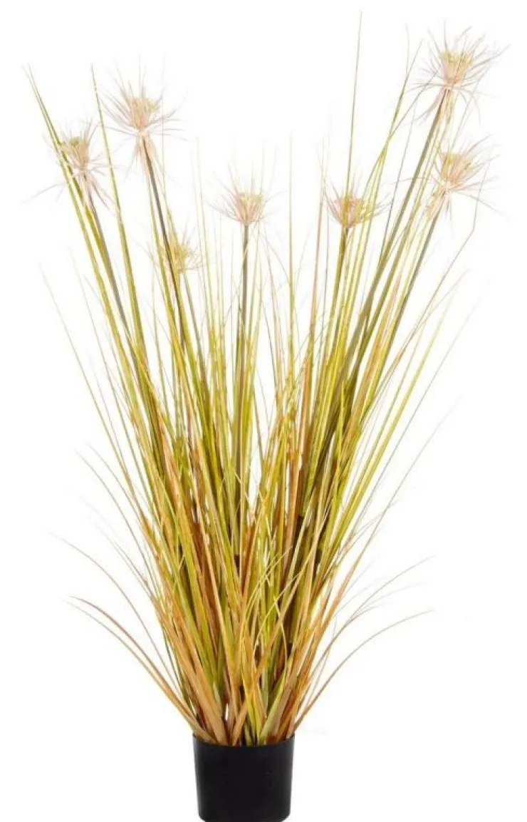 Piante Artificiali>Bizzotto PIANTA DESERTO PAGLIA C-VASO X7F H120