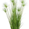 Piante Artificiali>Bizzotto PIANTA DESERTO VERDE C-VASO X9F H120