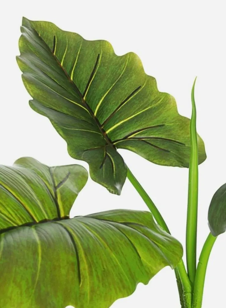 Piante Artificiali>Bizzotto PIANTA DIEFFENBACHIA C-VASO 7FOGLIE H78