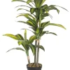 Piante Artificiali>Bizzotto PIANTA DRACANEA C-VASO 43FOGLIE H88CM