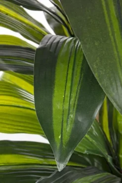 Piante Artificiali>Bizzotto PIANTA DRACANEA C-VASO 43FOGLIE H88CM