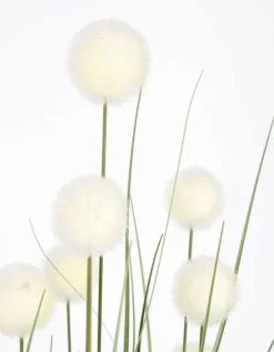 Piante Artificiali>Bizzotto PIANTA ERIOPHORUM BIANC C-VASO X10F H110