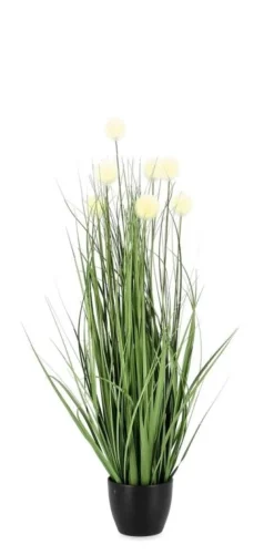 Piante Artificiali>Bizzotto PIANTA ERIOPHORUM BIANCO C-VASO X7F H68