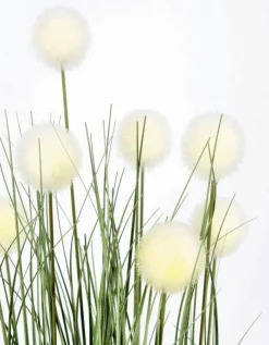Piante Artificiali>Bizzotto PIANTA ERIOPHORUM BIANCO C-VASO X7F H68