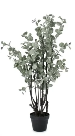Piante Artificiali>Bizzotto PIANTA EUCALIPTO C-VASO H110