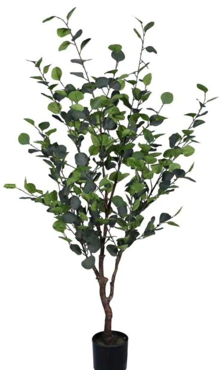 Piante Artificiali>Bizzotto PIANTA EUCALIPTO C-VASO H150
