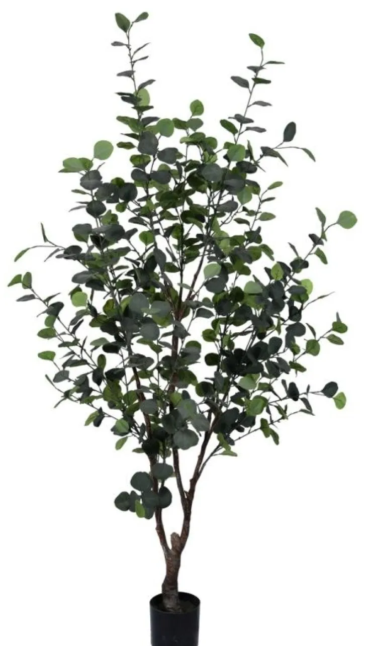 Piante Artificiali>Bizzotto PIANTA EUCALIPTO C-VASO H180