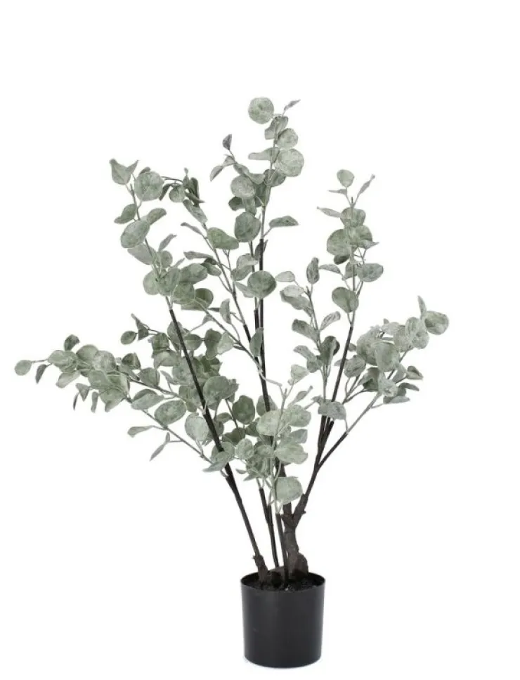 Piante Artificiali>Bizzotto PIANTA EUCALIPTO C-VASO H82