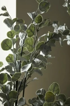 Piante Artificiali>Bizzotto PIANTA EUCALIPTO C-VASO H82