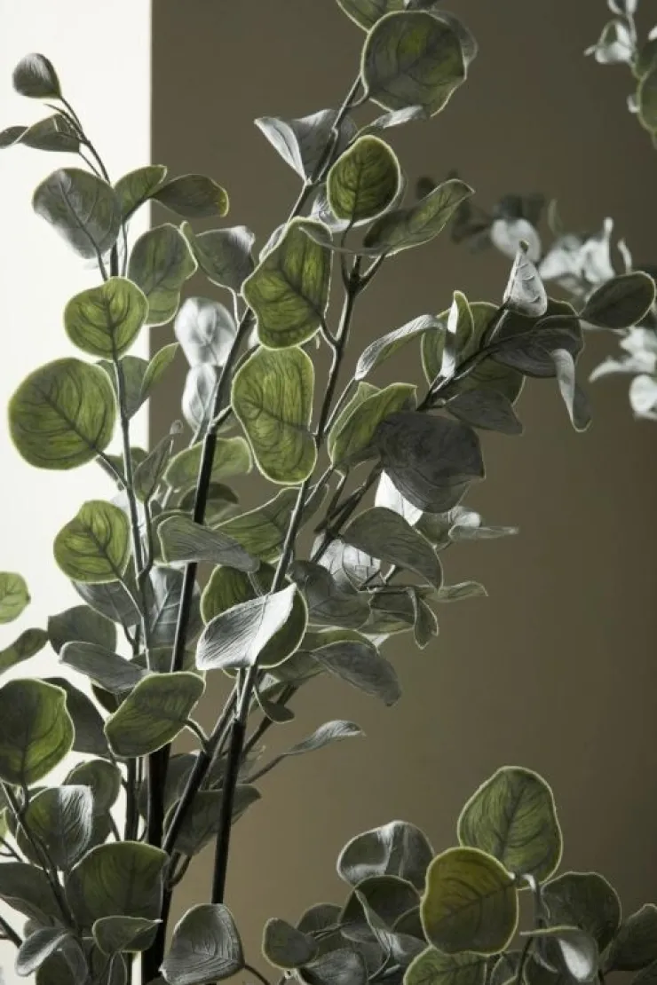 Piante Artificiali>Bizzotto PIANTA EUCALIPTO C-VASO H82